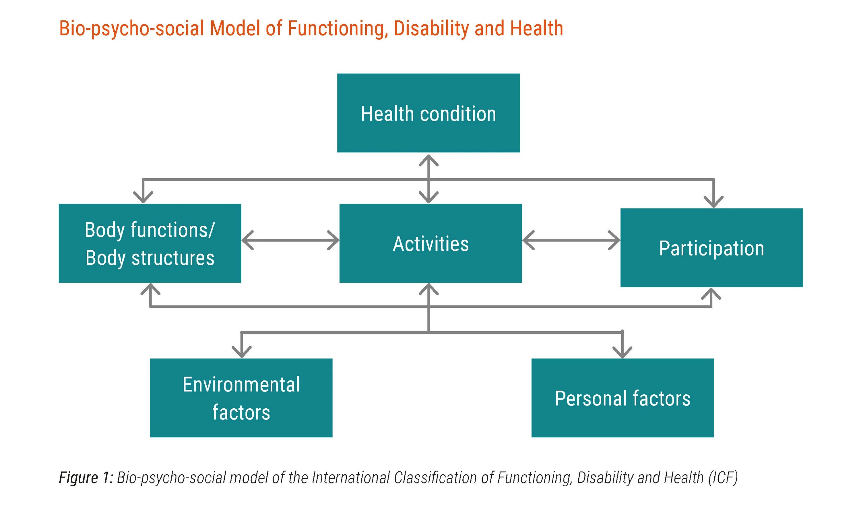 Модель soc. Био психо социальная модель. ICF member. ICF Формат. Social models