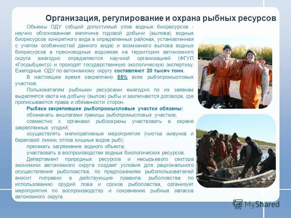 Охрана и регулирование водных ресурсов. Рациональное использование и охрана рыбных ресурсов. охрана и рациональное использование рыб. охрана рыбных богатств. охрана и восполнение рыбных ресурсов..