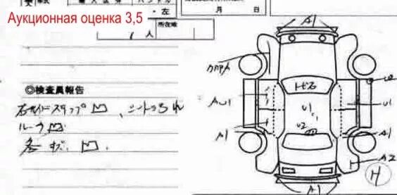 Алеадо проверка аукционного листа. Аукционная оценка а3. аукционный лист 3.5 балла. отметки аукционного листа e. обозначение аукцион листа.