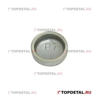 Пробка масляного канала