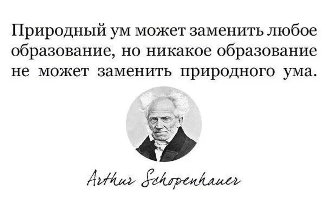 Образование не дает не чего. Высшее образование не показатель ума цитата. образование не показатель ума цитаты. образование не признак ума. цитаты про обучение.