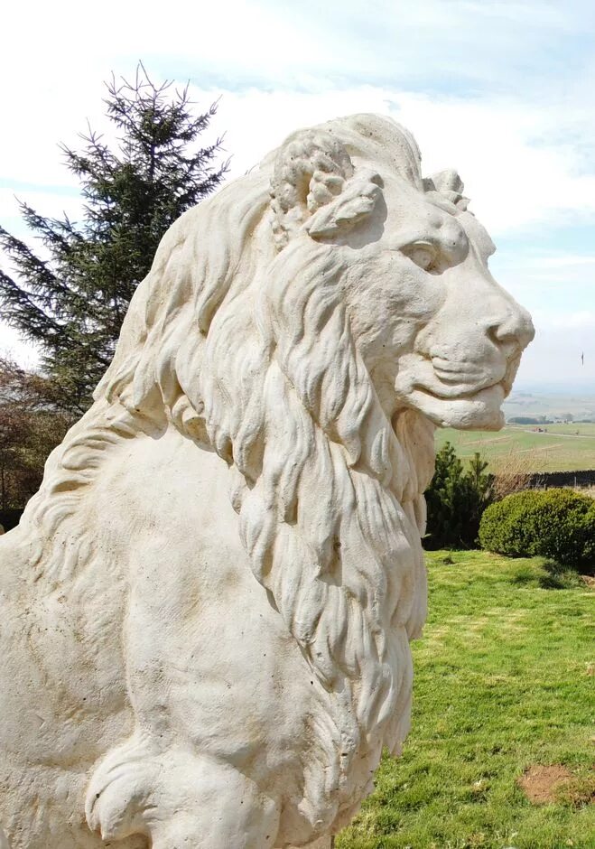 Статуя львов. Статуя Льва. Скульптура Лев львы. Каменные статуи Львов. Каменный Лев скульптура.