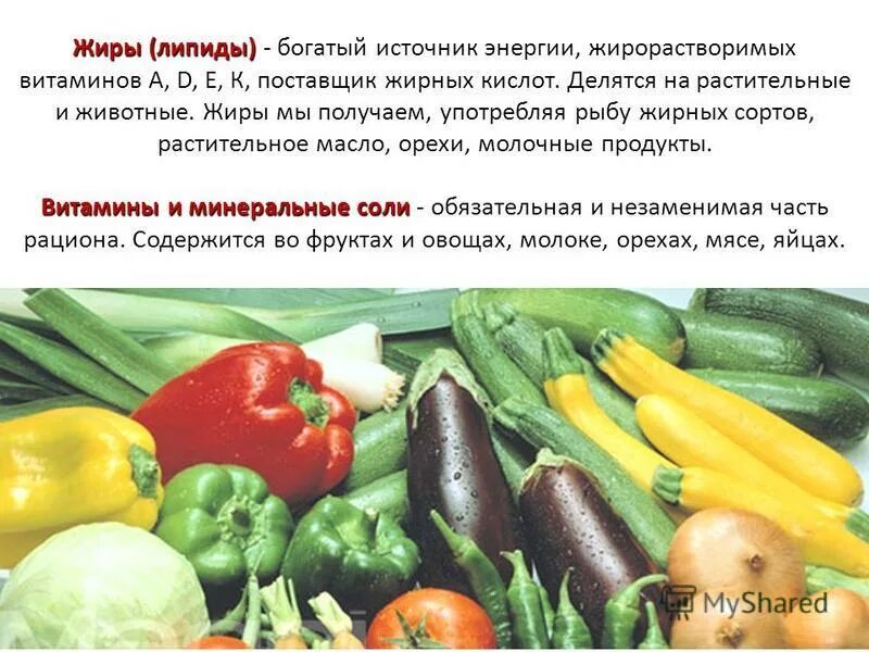 Какое значение имеет пища