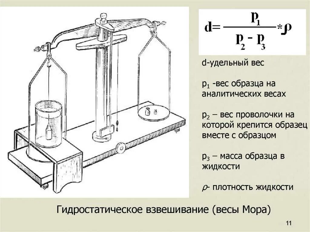 Весы для определения удельного веса