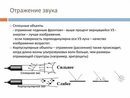 Конспект по физике отражение звука звуковой резонанс