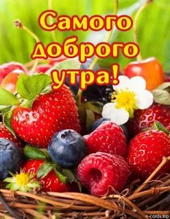 Фрукты и добрые пожелания