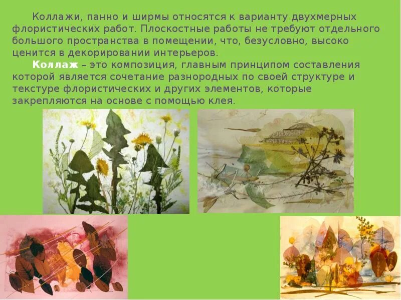 Фитокартины: Флористическое панно "Звезды моря" купить в интернет-магазине Ярмар