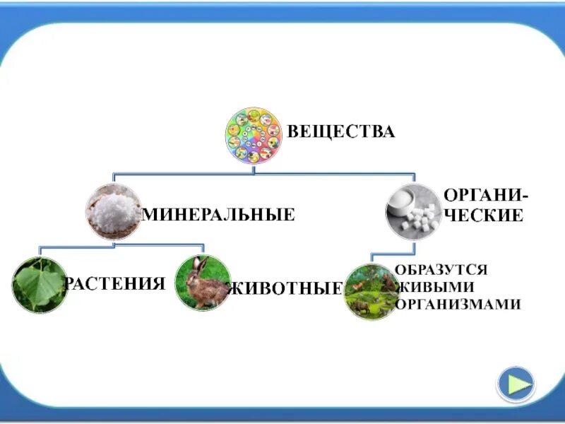 Минеральные соли ромашка получает в основном через. Минеральные вещества животным. минералы растения животные человек. минеральные вещества животного и растительного. человек животное растение минерал.