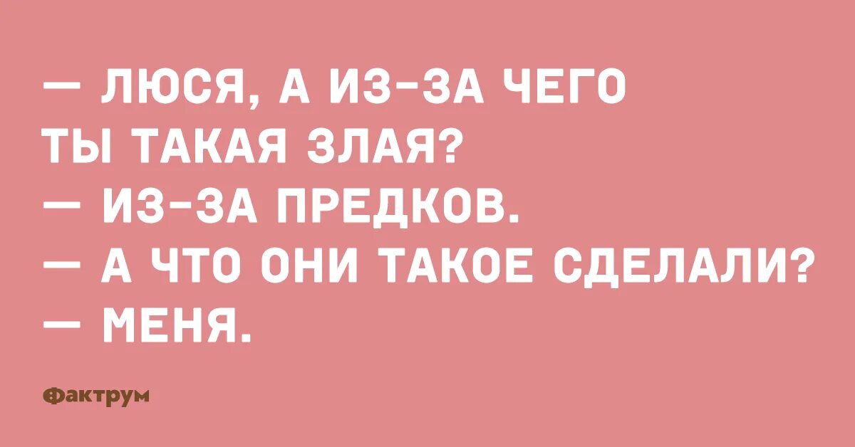 Люся смешная. Шутки про Люсю. Люся прикол. Шутки про Люсю смешные. Малыш люся текст