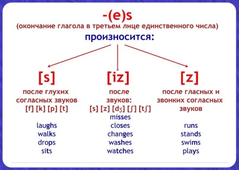 Could как произносится. Окончание s es в английском языке у глаголов. Глаголы третьего лица единственного числа в английском языке. S В конце глаголов в английском языке правило. Чтение окончаний s es в английском языке.