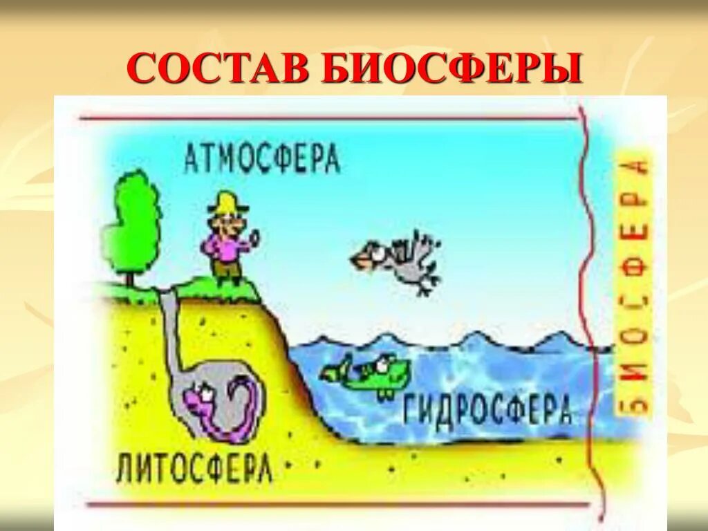 Контрольная работа по географии гидросфера атмосфера биосфера. Рисунок на тему биосфера и человек. рисунок на тему гидросфера. литосфера гидросфера атмосфера биосфера. гидросфера и человек рисунок.