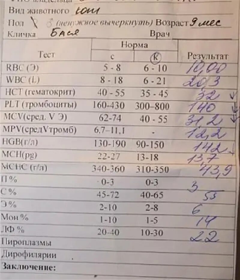 Анализ мочи при воспалении. Почечные показатели в моче. Общий анализ мочи почек. Анализ мочи при исследования почек. Какие анализы нужны чтобы проверить почки