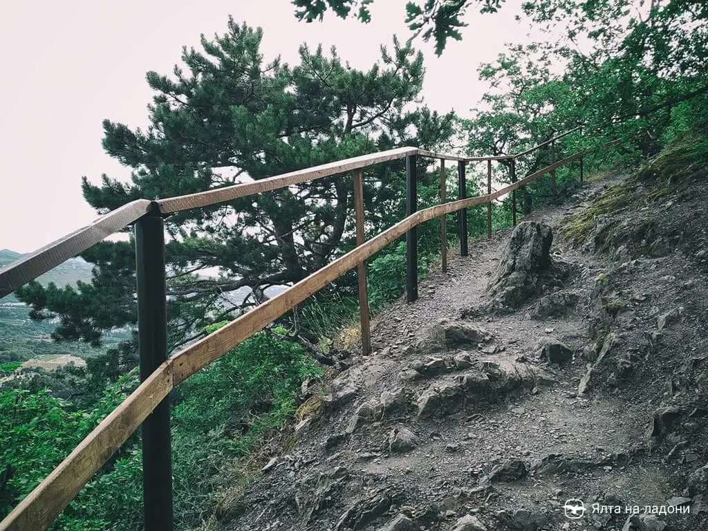 Л на аю и а