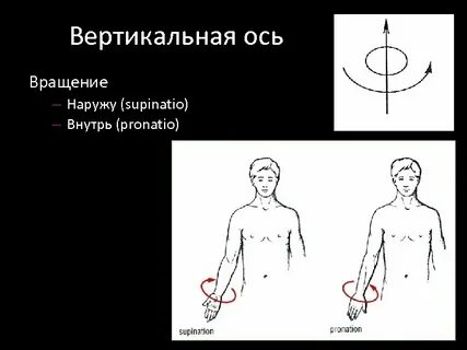 Рука человека оси вращения
