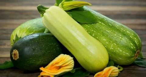 Можно ли есть горькие кабачки
