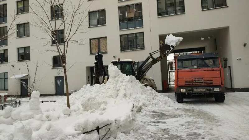 от снега очищенная входная группа. должны ли вывозить снег с придомовой территории. нормативы по уборке снега во дворах. петрозаводск снегопад. правила уборки снега.