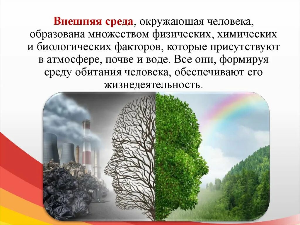 Влияние окружающей среды на человека. Внешняя среда и ее воздействие на организм. Внешняя среда человека. Влияние внешней среды на человека.