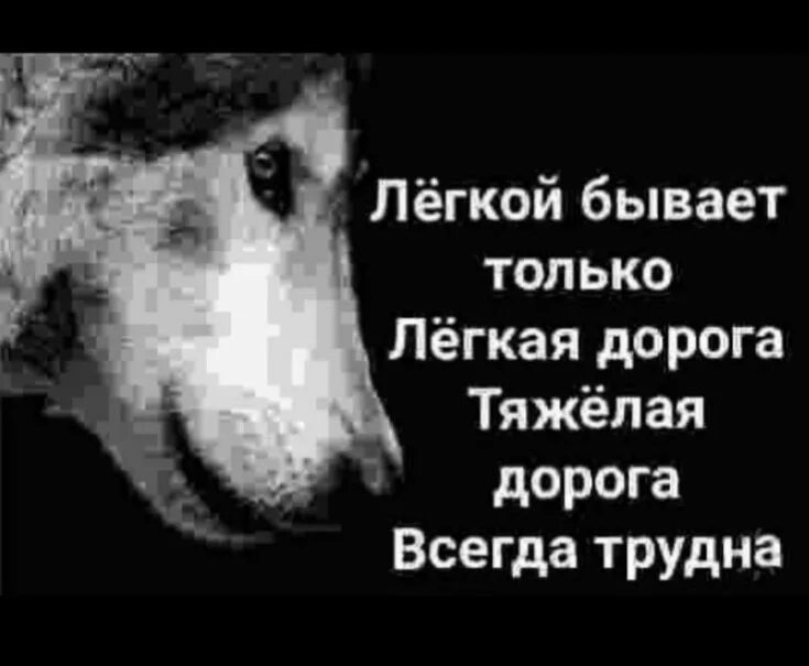 Легкая дорога всегда легка. Трудная дорога всегда трудна. Легкой бывает только легкая дорога. Легкой бывает только легкая дорога-тяжелая всегда трудна. Цитаты волка Мем.