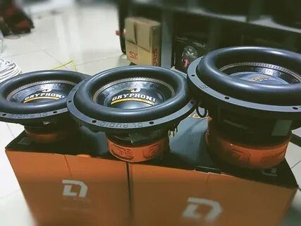 Dl audio gryphon lite 12 v 3