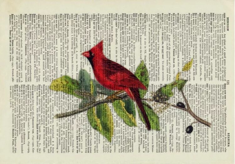 Звери и птицы на книжных страницах. Композиция из книг. Птицы на книжных страницах. Картины из книг. Птицы на книжных страницах.