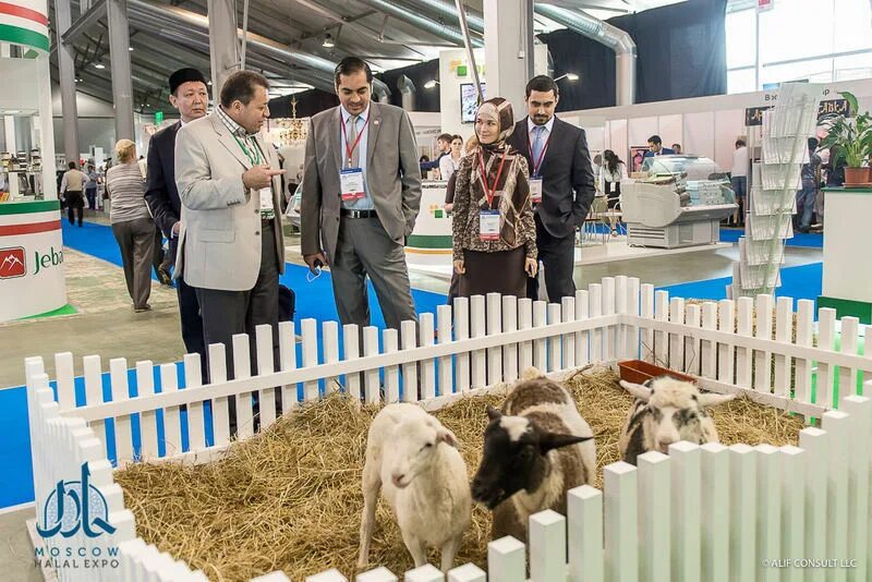 Халяль московский. Халяль Экспо. Халяль Экспо экспозиция. Выставка Russia Halal Expo. Moscow Halal Expo Сокольники.