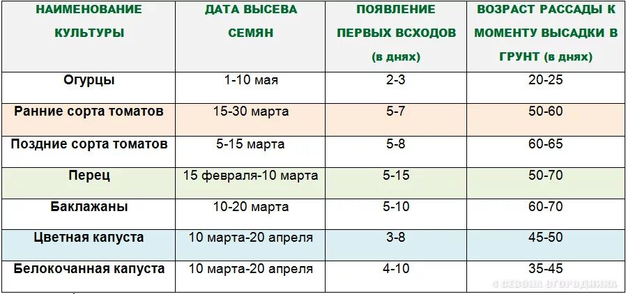 Какого числа сажать огурцы на рассаду. Срок высадки томатов на рассаду. Сроки высадки семян томатов на рассаду. Сроки посева овощей на рассаду. Сроки посадки рассады огурцов для теплицы.