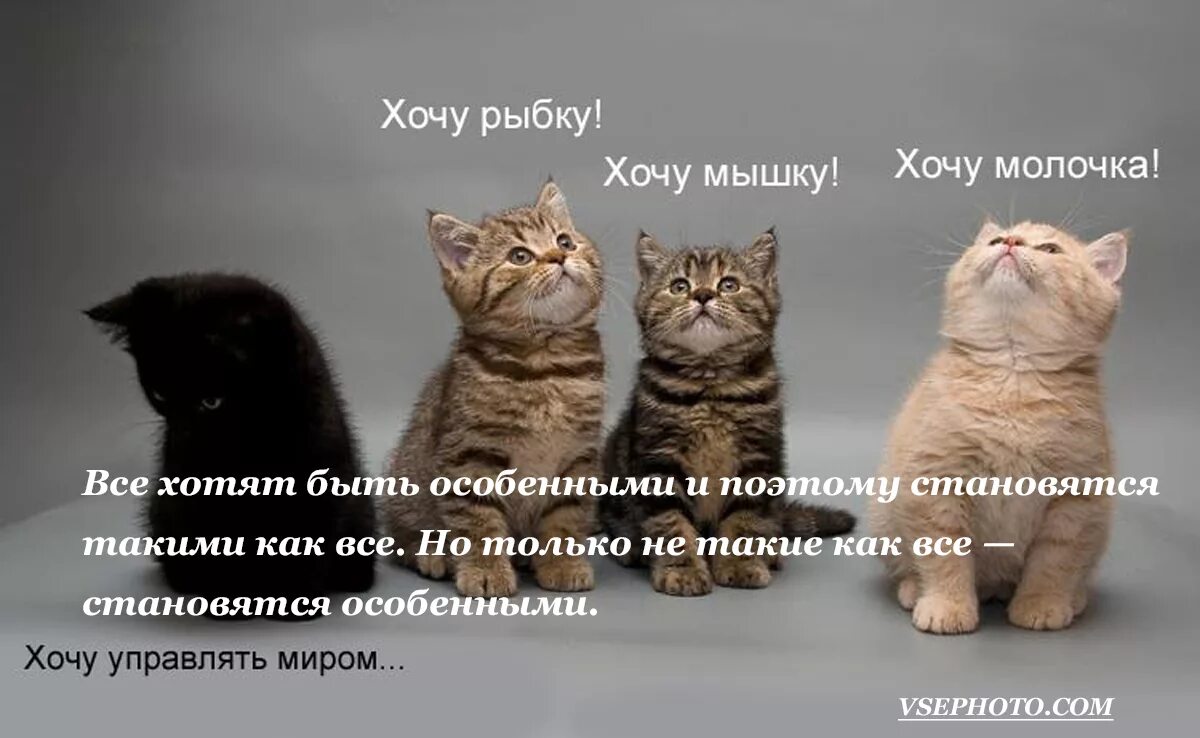 хочу управлять людьми