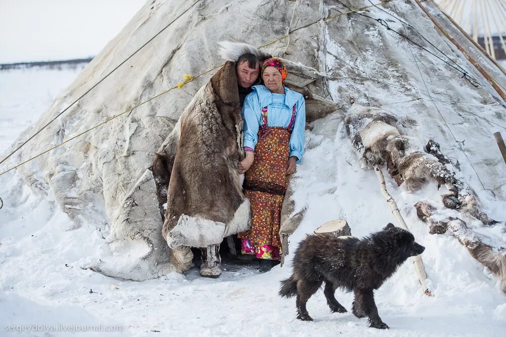ненцы ханты манси чукчи. где живут люди на севере. ненцы ямало ненецкий автономный округ. ханты, манси, коми, селькупы, ненцы. чукчи коряки ительмены эскимосы.