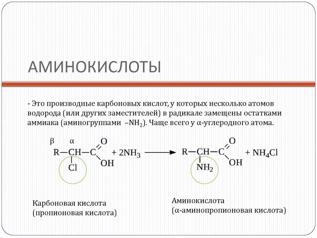 Аминокислоты это производные карбоновых кислот. Замещенные аминокислоты. Аминоуксусная кислота и водород. Производные аминокислот. Бензол реагирует с аминоуксусной кислотой