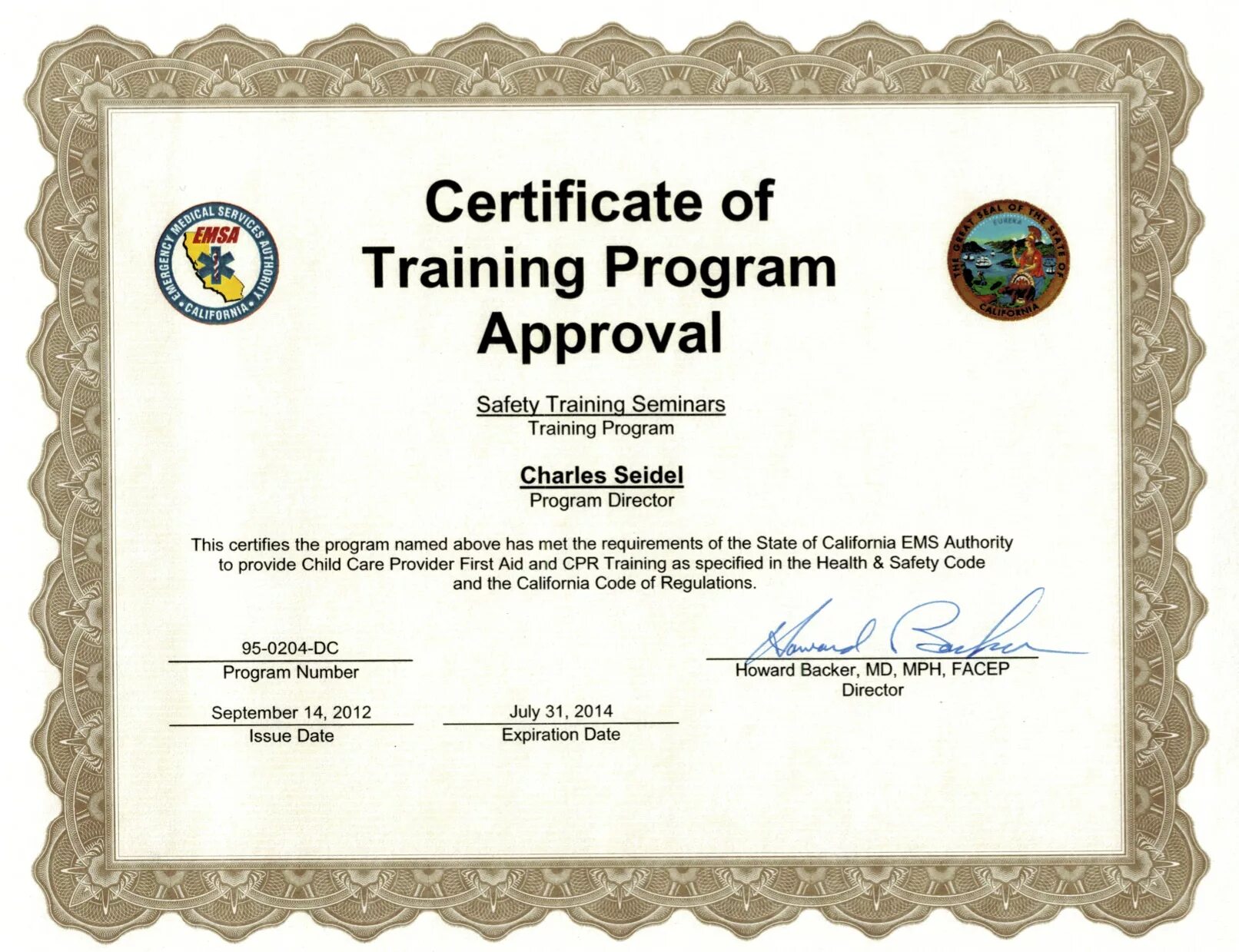Первая помощь получить сертификат. Сертификат medical care. first aid training certificate. medical first aid сертификат. сертификат bls.