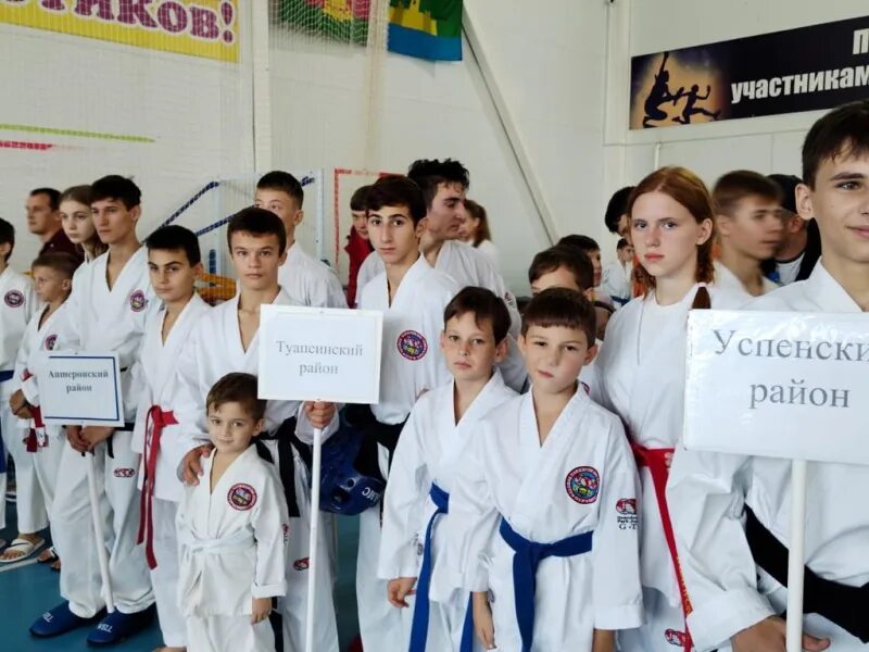 Спорт тхэквондо реклама. Энтузиаст тхэквондо спортшкола. Соревнования по тхэквондо. Тхэквондо абинск. Все тренера в абинске по тэквандо.