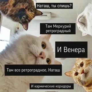 Какой то там другой