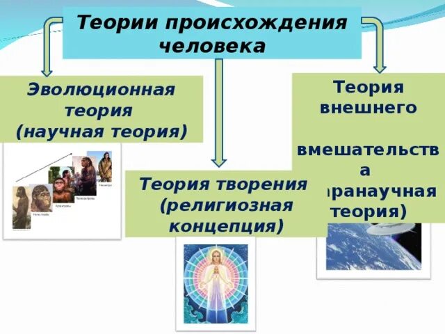 Гипотезы о происхождении человека проект тема ЧЕЛОВЕК 1 1 Природное и общественное в