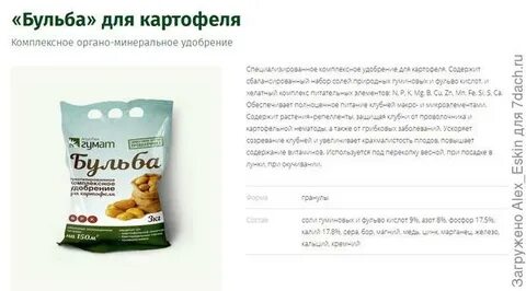 Удобрения при посадке картофеля весной в лунки
