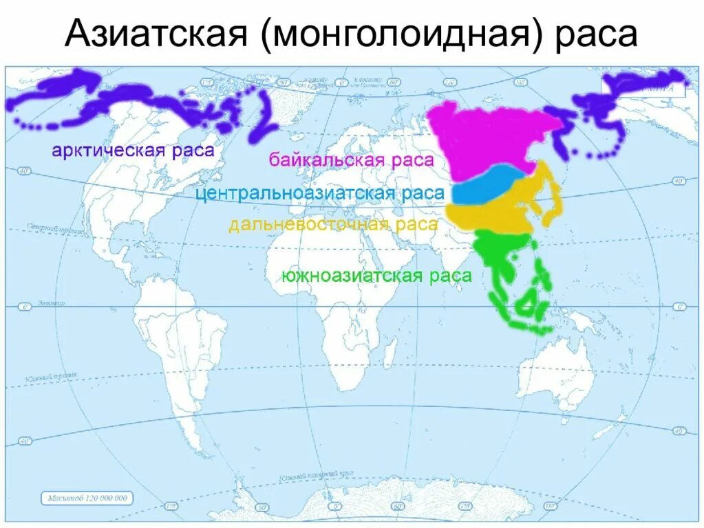 Ареалы распространения человеческих рас. Монголоидная раса карта расселения. Ареал обитания монголоидной расы. Монголоидная ареал обитания. Северные монголоиды ареал.