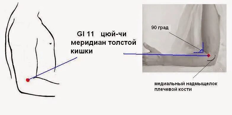 Почему нету точка. Цюй-чи точка акупунктуры. Акупунктурная точка Цюй чи. Точка Цюй-чи gi-11. Точка Цюй-чи расположение.