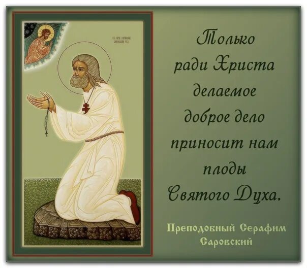 Долбослав. Подайте христа ради мем. У курского вокзала стою я молодой подайте. Христа ради дайте. Христа ради дайте.