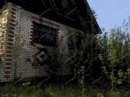 Погода в прокошево