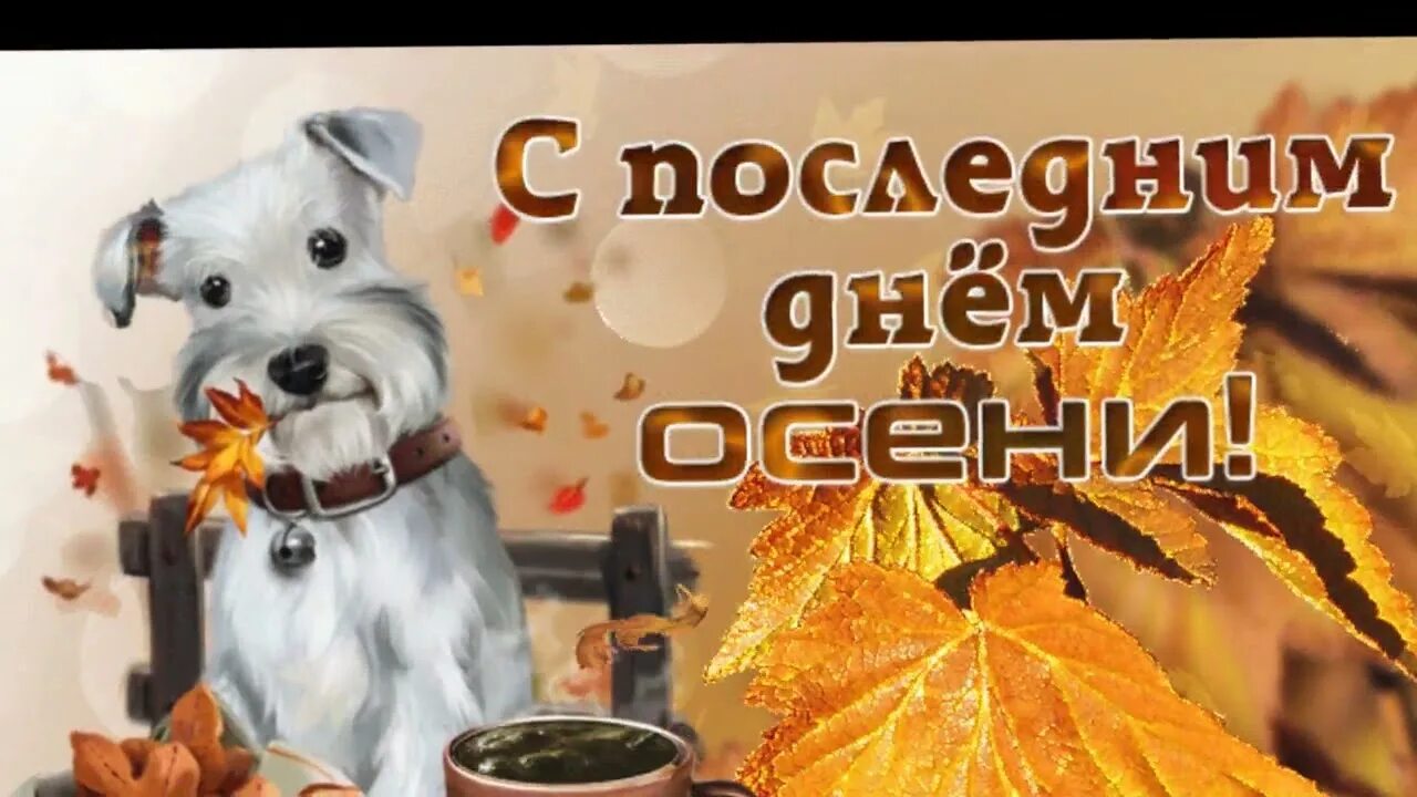 С последним осенним утром ноября. С последним днем осени. с последним осенним днем. открытки с последним днем осени. с последнениим днем ос.
