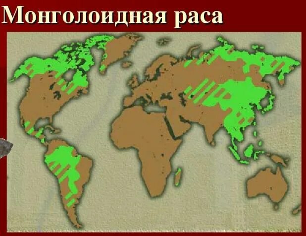 Какие губы у монголоидной расы. Ареал обитания монголоидной расы. монголоидная ареал обитания. ареал распространения монголоидной расы. карта расселения монголоидной расы.