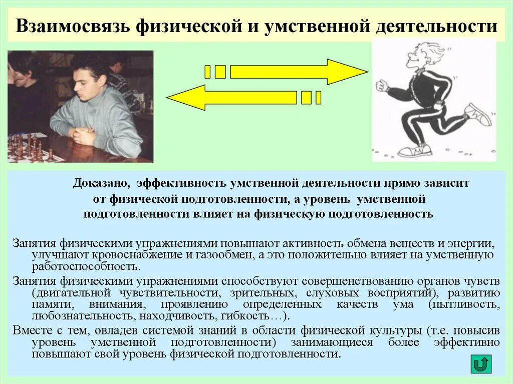 Как называется умственная деятельность. Взаимосвязь физической и умственной деятельности. физическая и умственная деятельность человека. физическая и умственная деятельность работоспособность человека. физические упражнения влияющие на умственную работоспособность.