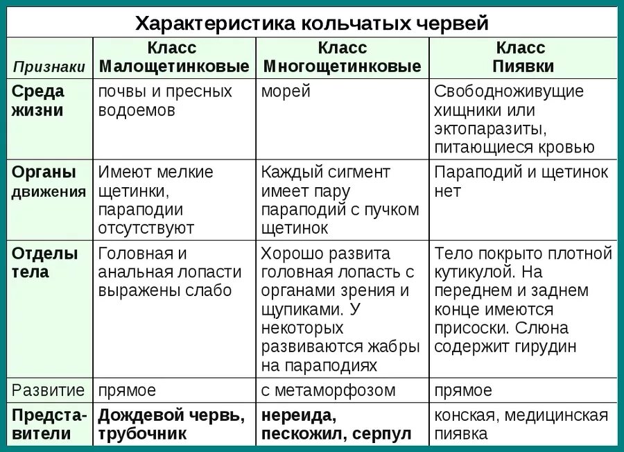 В отличии от круглых. Характеристика кольчатых червей таблица. Тип кольчатые черви таблица 7 класс биология. Таблица по биологии 7 Тип кольчатые. Характеристика классов кольчатых червей.