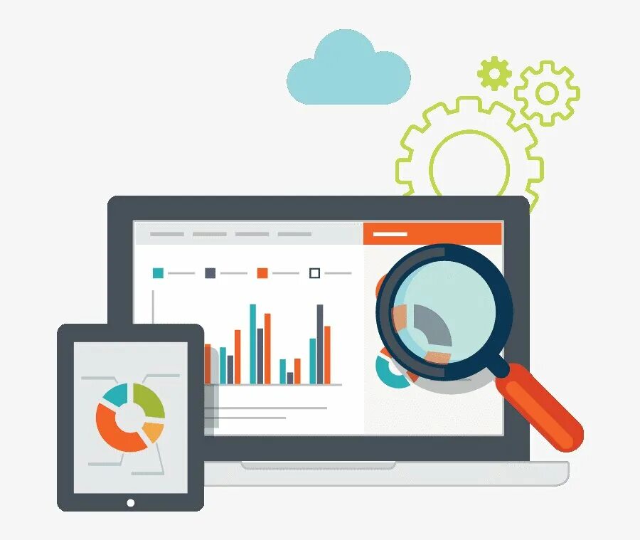 Web analyst