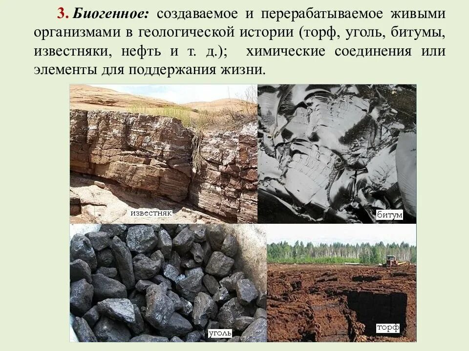 Биогенное вещество биосферы. Биогенный известняк. Биогенные горные породы. Биогенные вещества – вещества. Биогенным веществам относят