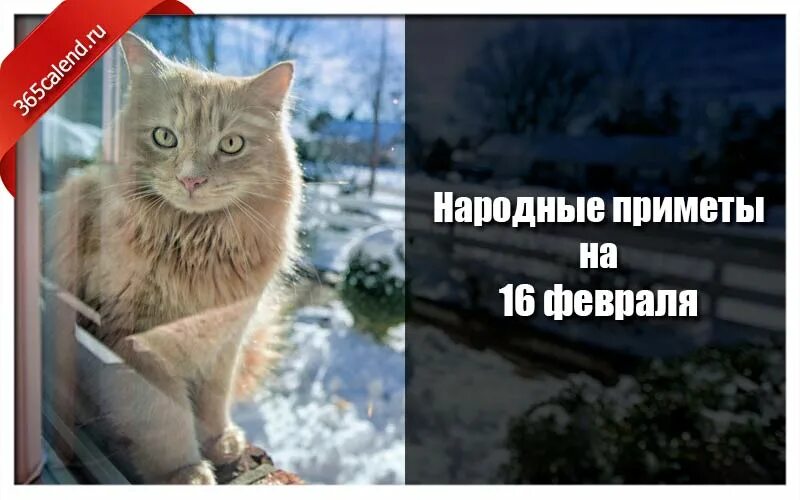 16 апреля народные приметы. 22 февраля народные приметы. 28 февраля народные приметы. Приметы на 16 февраля 2022 года народные. Народные приметы на февраль 2022.