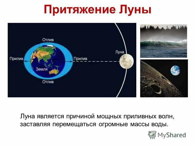 Приливы воды на луну. Притяжение Луны. Приливы и отливы от Луны. Луна приливы и отливы на земле. Сила притяжения на Луне.