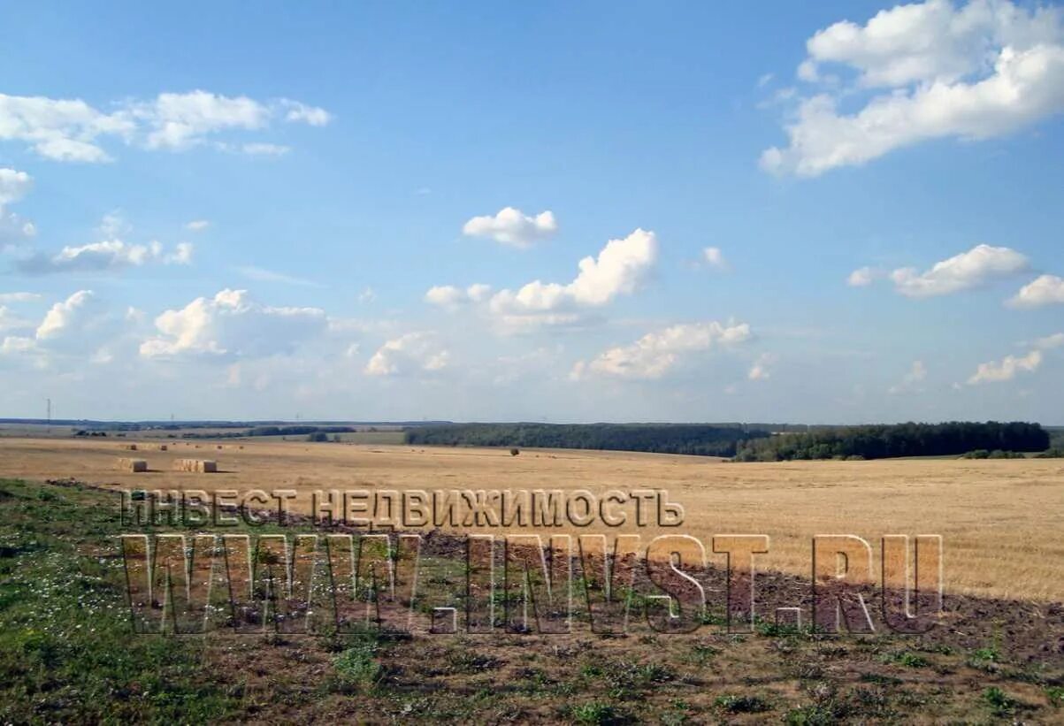 96 га. Площадь московской области в гектарах. 96 гектаров. Дорога в семенково каширский район. Участок корнеевские гривки.
