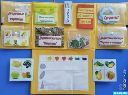 Лэпбук плоды и семена