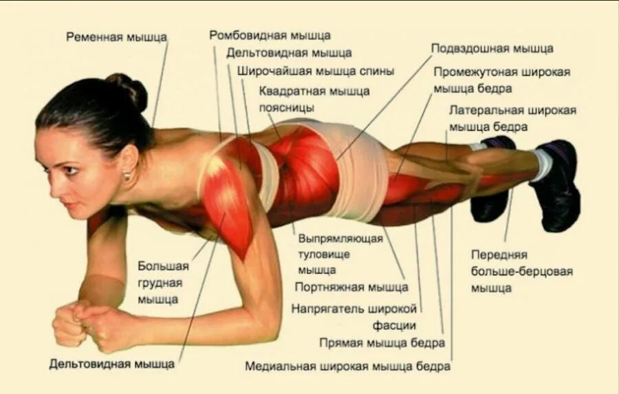 Тянет мышцы левую сторону. Упражнения для грудных мышц для женщин. планка. планка упражнение. планка задействованные мышцы.