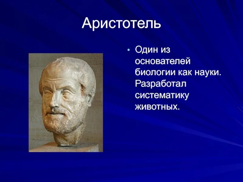 История формирования биологии как науки. Аристотель основатель биологии. аристотель основоположник науки. аристотель открытия в биологии. основоположник биологии.